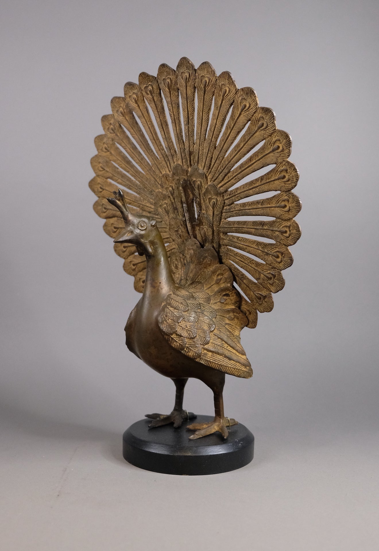 Bronze Peacock